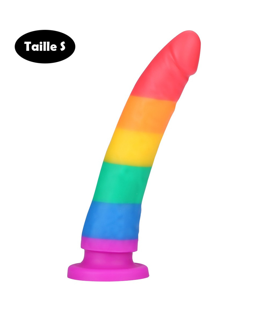 Gode ventouse multicouleur taille S - DO-045-RAI-S